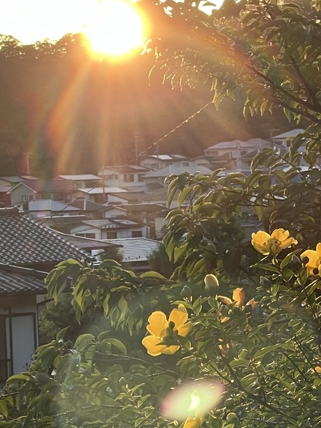 「朝毎に、主よ、あなたを仰ぎ望みます」