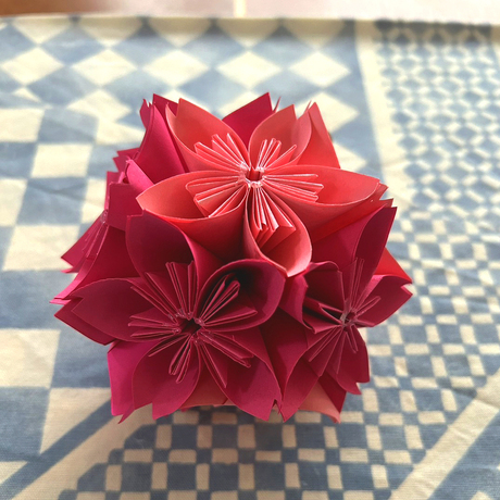 桜を一緒に楽しんで!