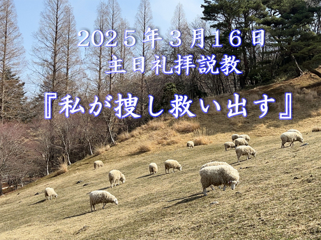 ■新規掲載■ 礼拝メッセージ 「私が捜し救い出す 」 (シンシナティ日本語教会 2025/3/16 主日礼拝)