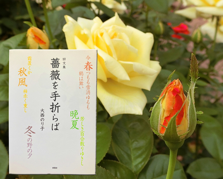 回文集 『薔薇を手折らば』