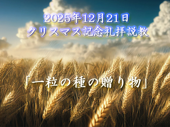 2025年12月21日 クリスマス記念主日礼拝説教「一粒の種の贈り物」