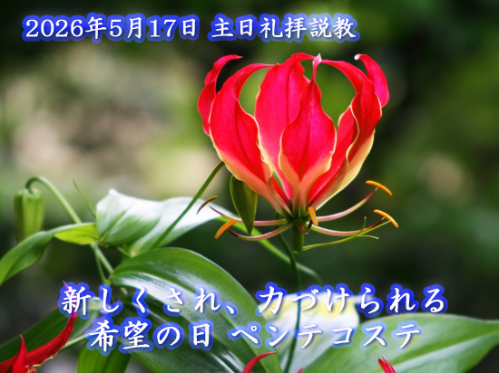 2026年05月17日 礼拝説教 「新しくされ力づけられる希望の日、ペンテコステ」 ～シンシナティ日本語教会